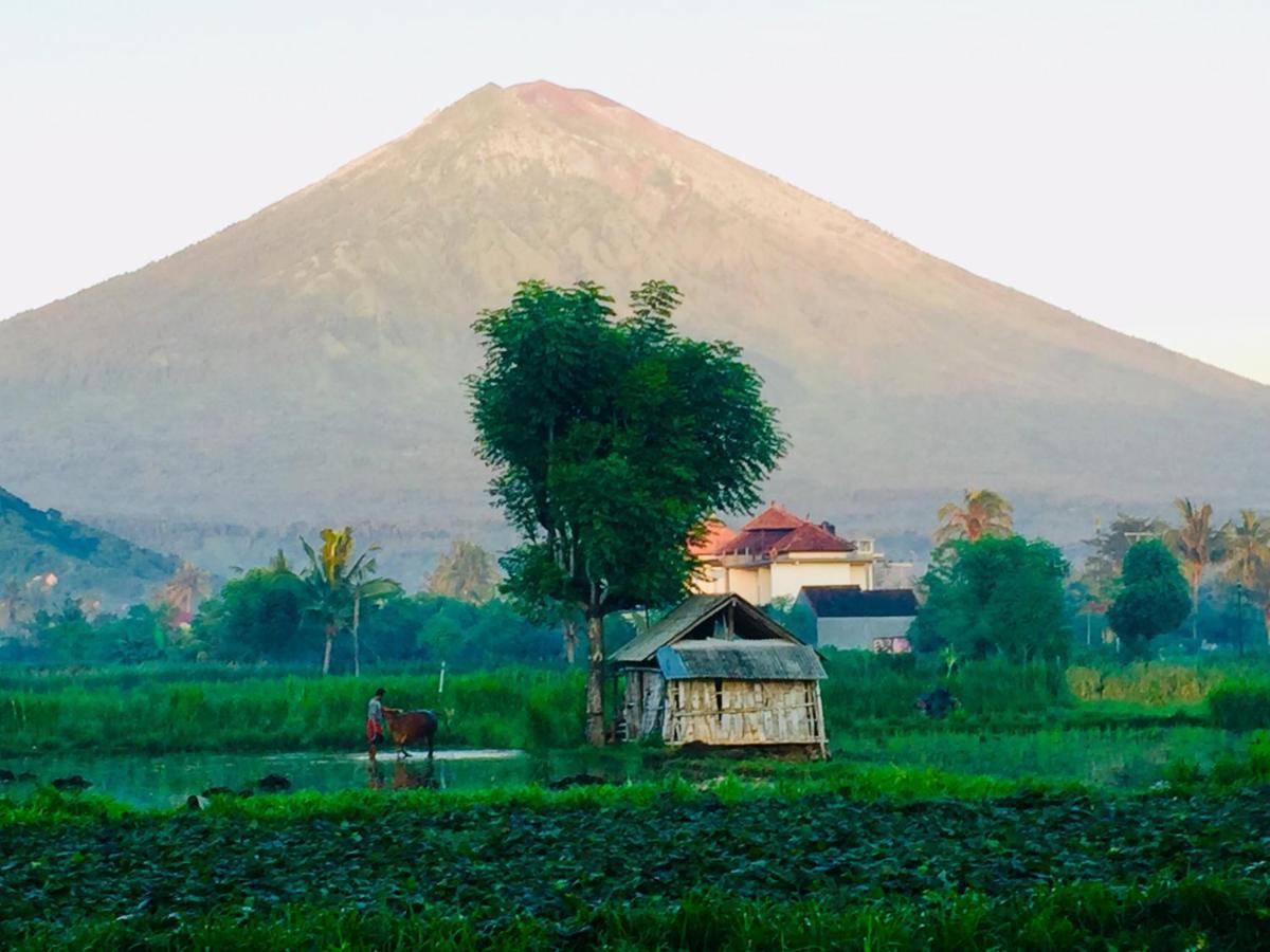 D'Uma Amed Homestay Dış mekan fotoğraf
