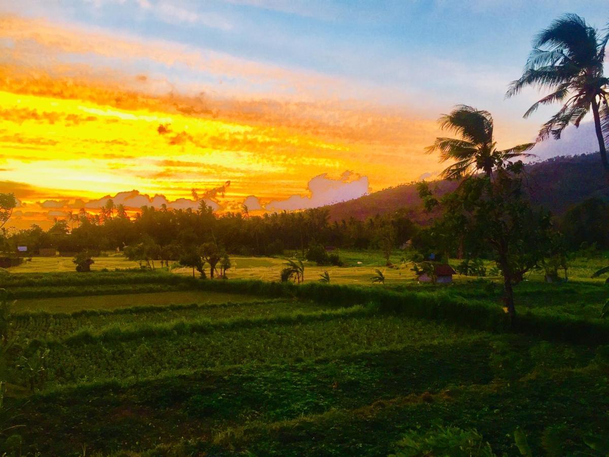 D'Uma Amed Homestay Dış mekan fotoğraf