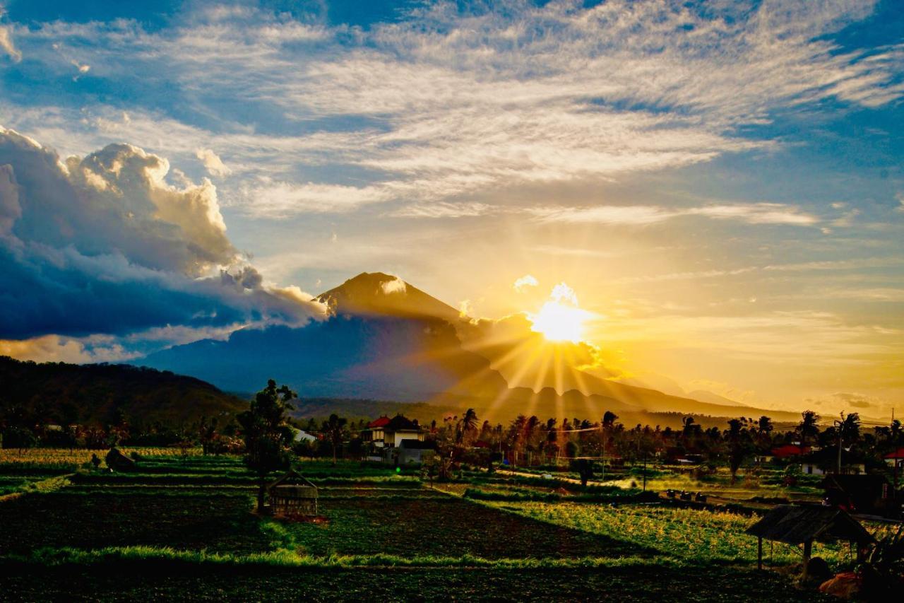 D'Uma Amed Homestay Dış mekan fotoğraf
