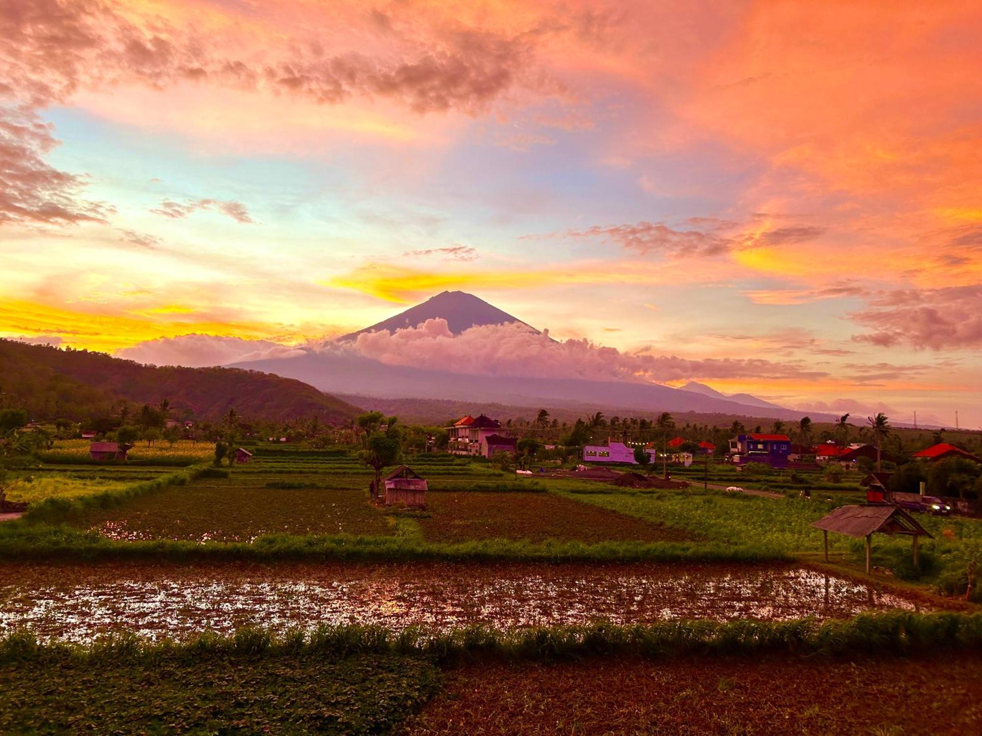 D'Uma Amed Homestay Dış mekan fotoğraf