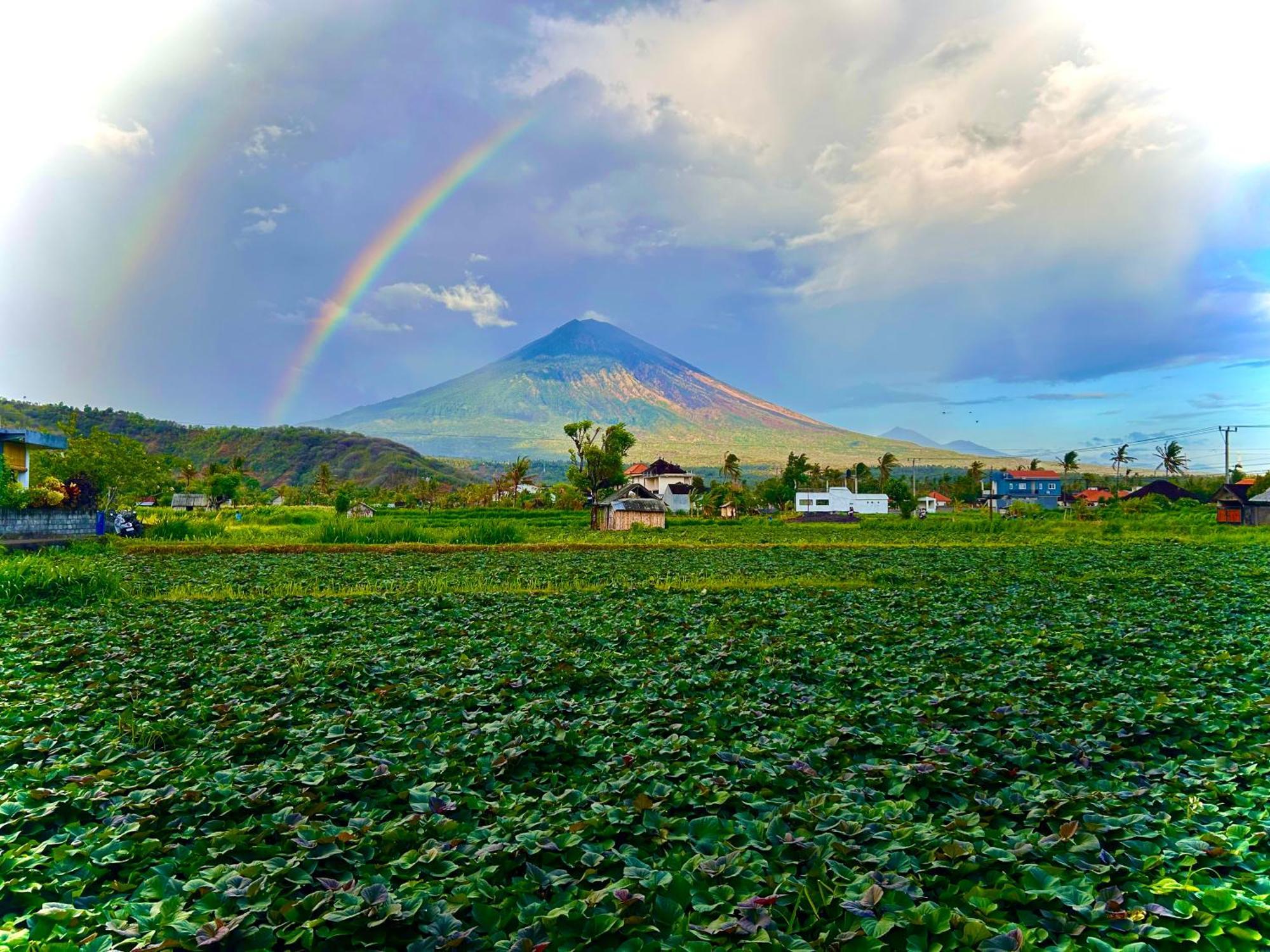 D'Uma Amed Homestay Dış mekan fotoğraf