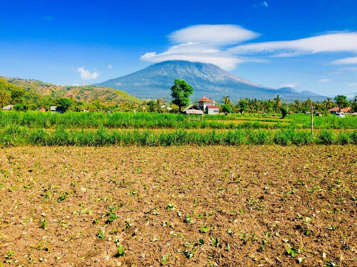 D'Uma Amed Homestay Dış mekan fotoğraf
