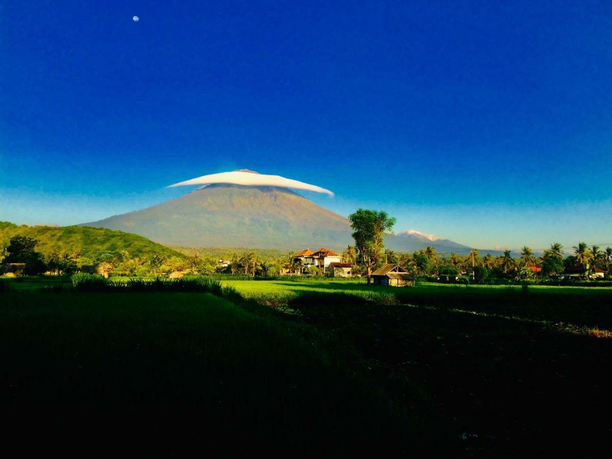 D'Uma Amed Homestay Dış mekan fotoğraf