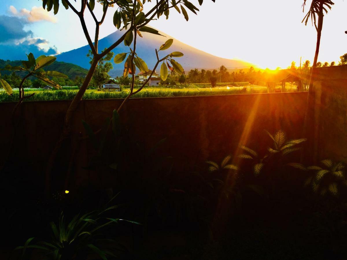 D'Uma Amed Homestay Dış mekan fotoğraf