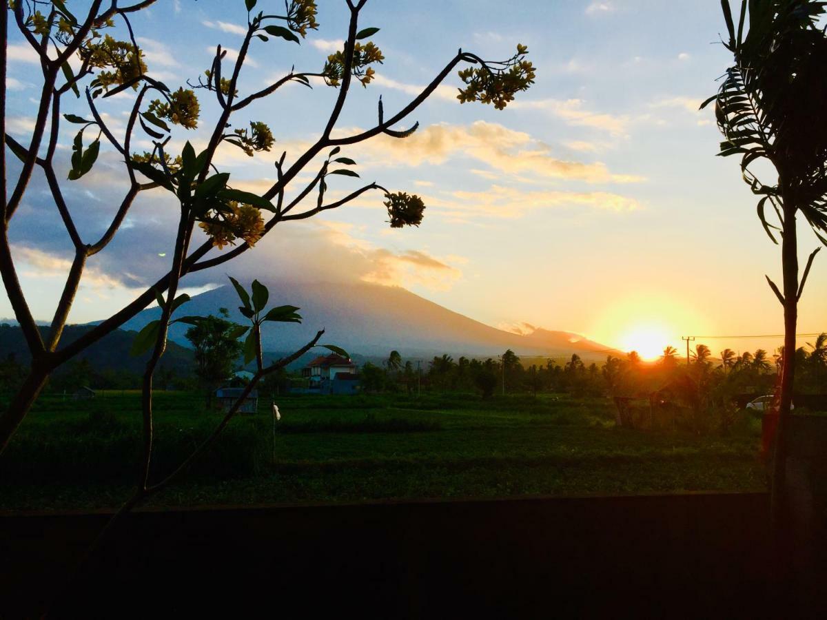 D'Uma Amed Homestay Dış mekan fotoğraf